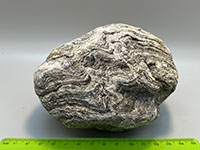 A gray and white banded crystalline rock with tightly crenulated folding